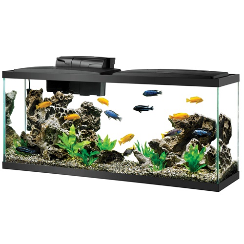 Aqueon LED 55 Aquarium Kit
