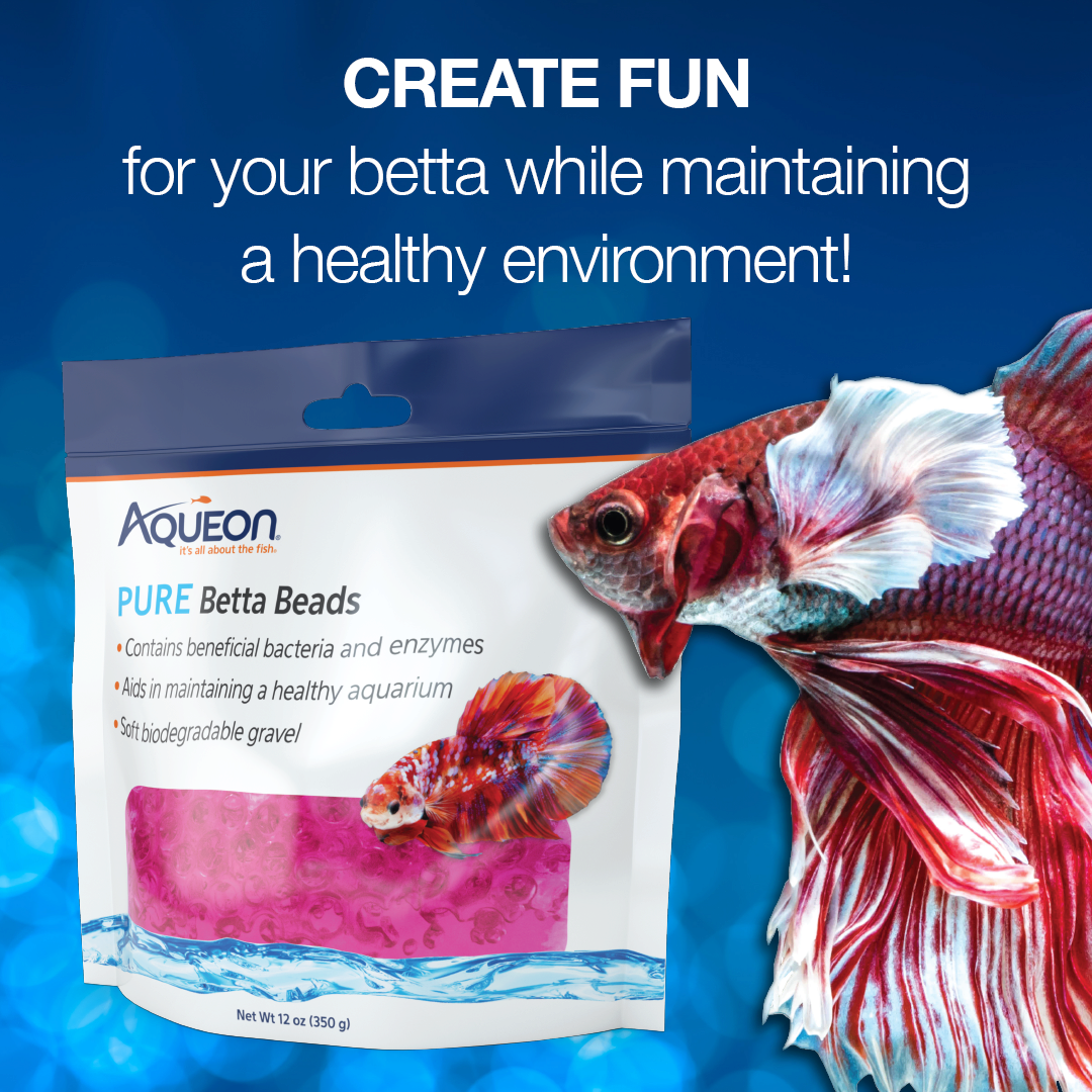 BettaBeads_1080x1080