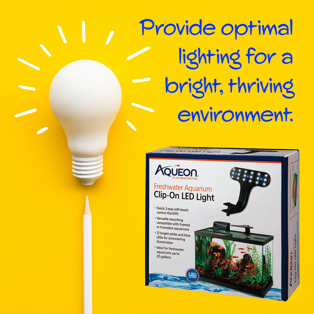 ClipOnLights_1080x1080