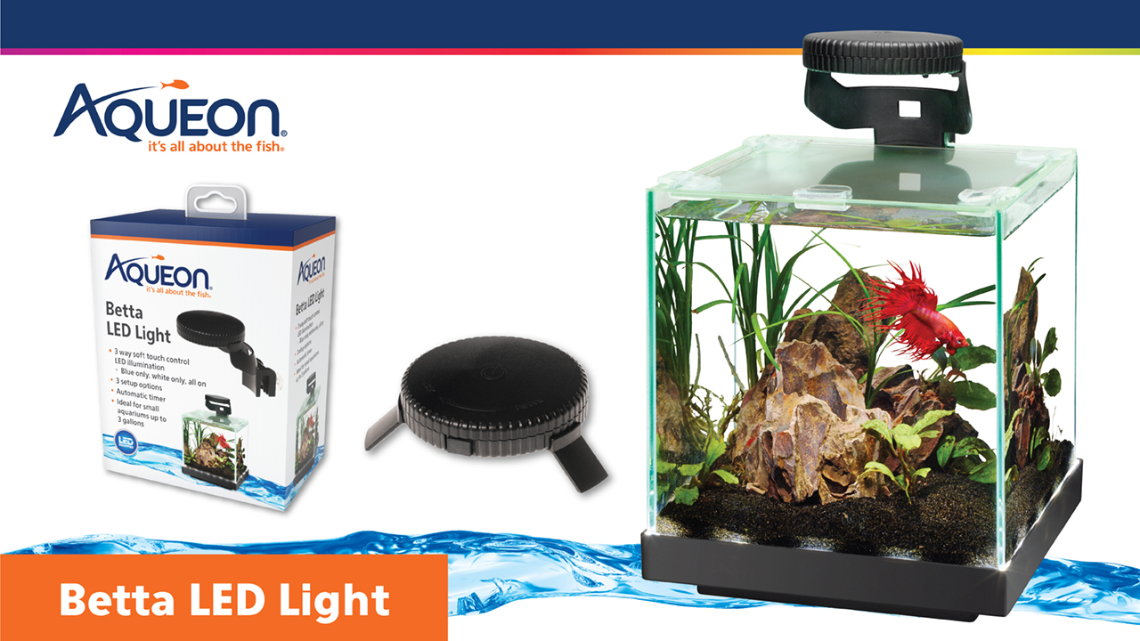 Betta LED Light Aqueon