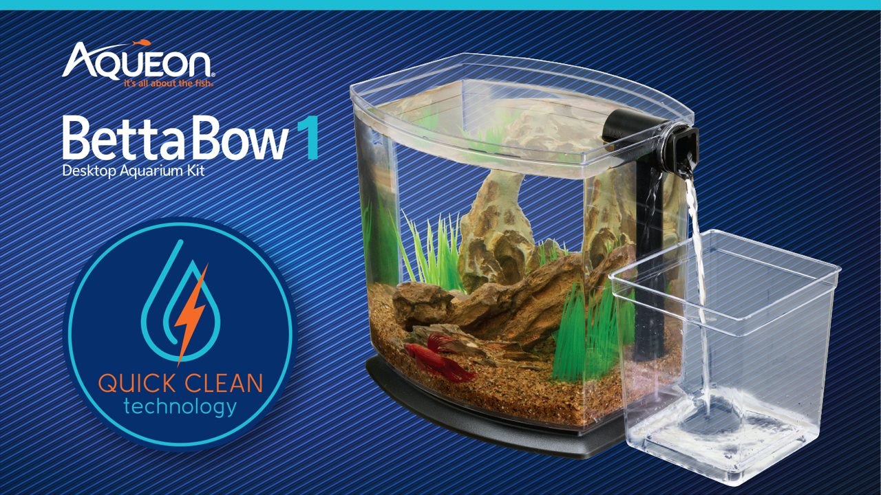 Fish Help Videos Aqueon Aquarium Products It's all about the fish!