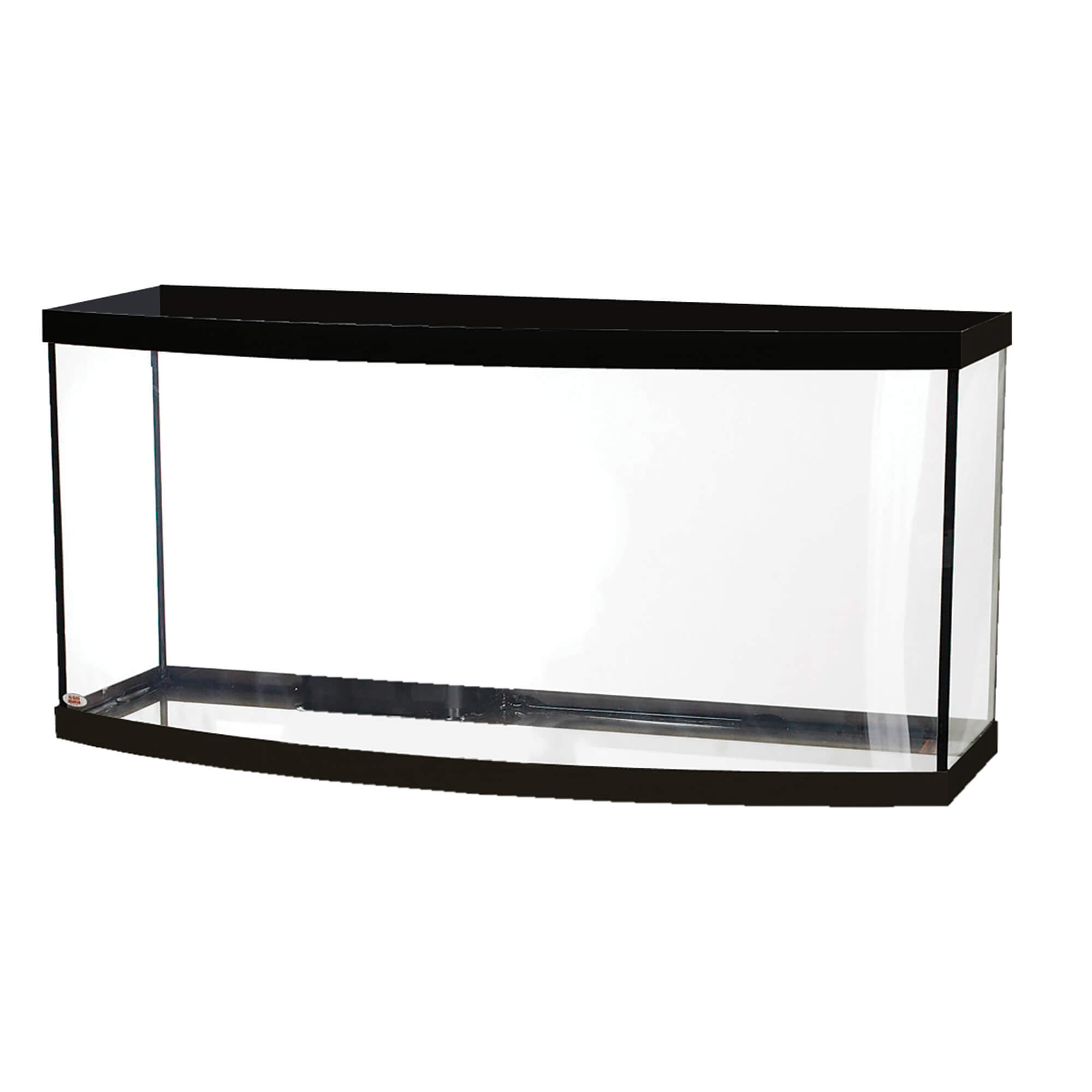 Bow Front Aquariums