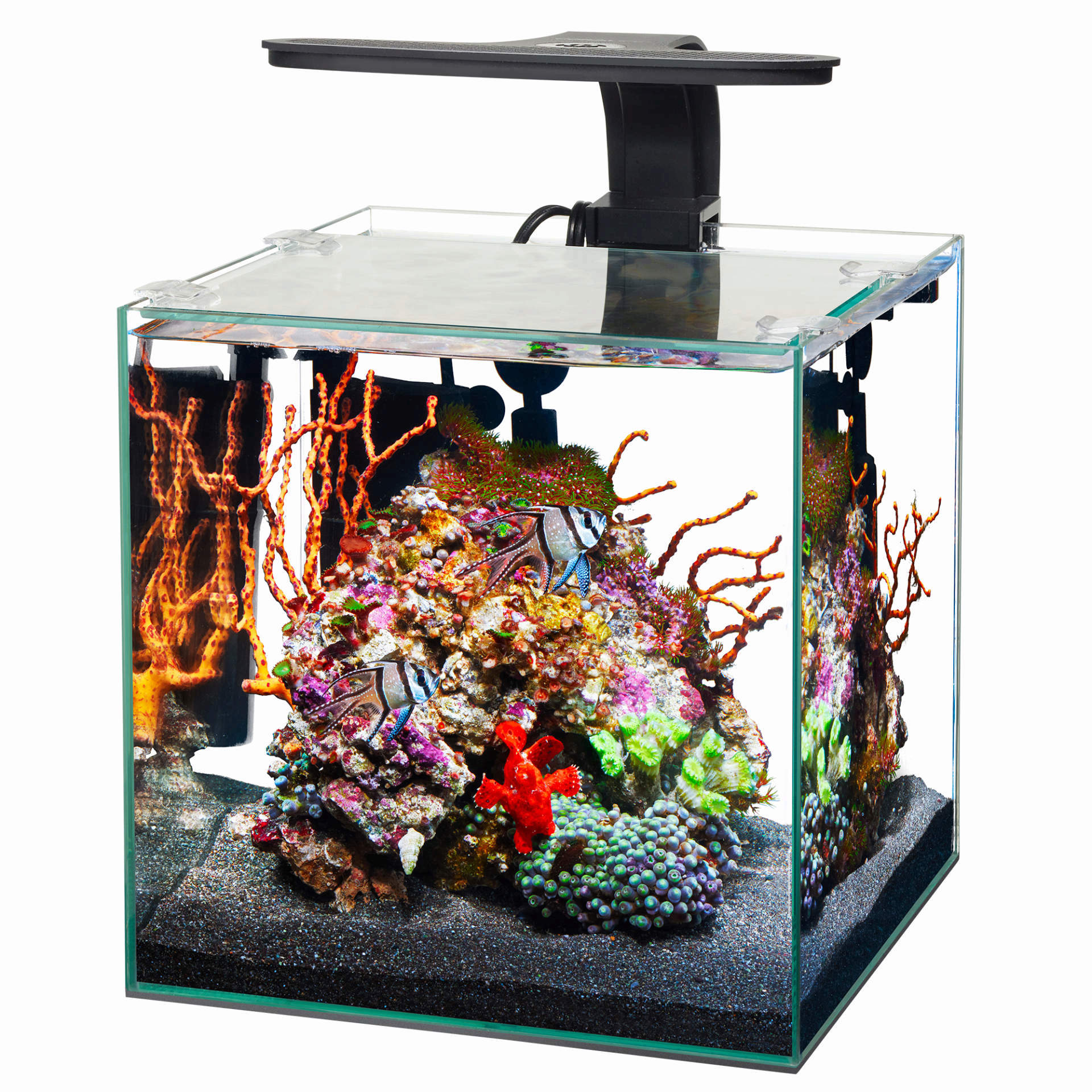 Aqueon 11 gallon frameless aquarium sales