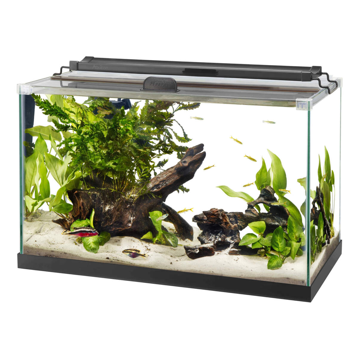 Rimless Rectangle Aquarium Aqueon