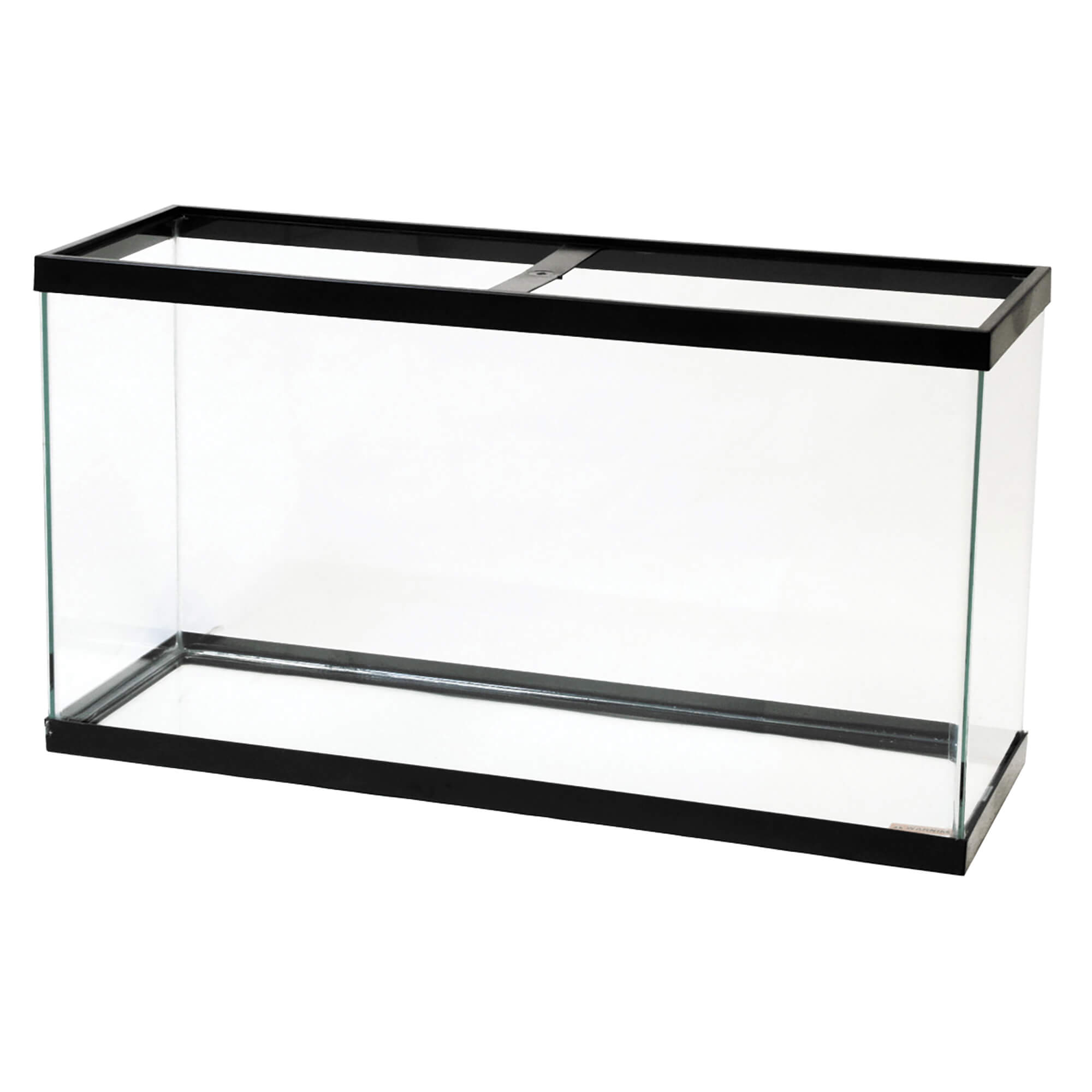 aanval blijven Mier Standard Glass Rectangle Aquariums | Aqueon