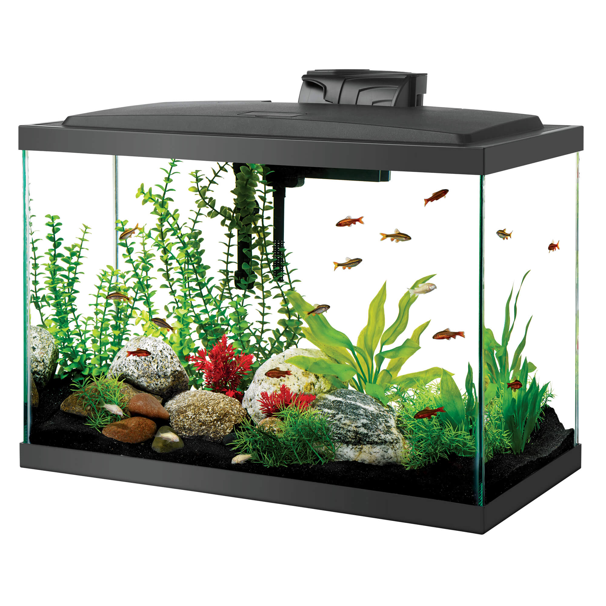 Standard Glass Rectangle Aquariums